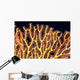 Australia, Gorgonian coral fan close-up detail Wall Mural