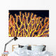 Australia, Gorgonian coral fan close-up detail Wall Mural