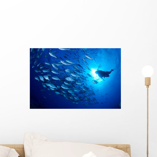 Midway Atoll, brown chub school and diver silhouette, sunburst Wall Mural