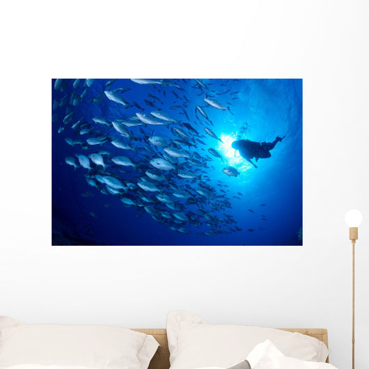 Midway Atoll, brown chub school and diver silhouette, sunburst Wall Mural
