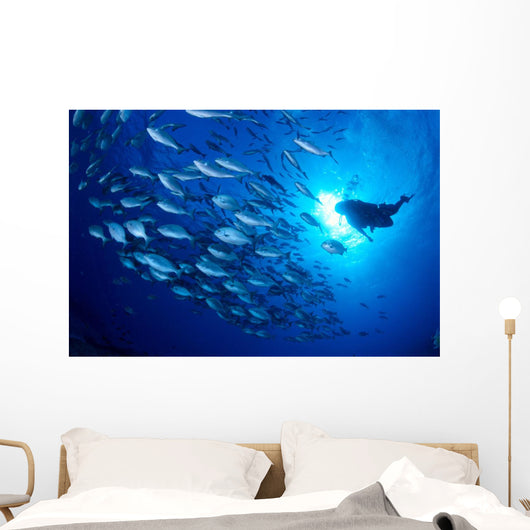 Midway Atoll, brown chub school and diver silhouette, sunburst Wall Mural