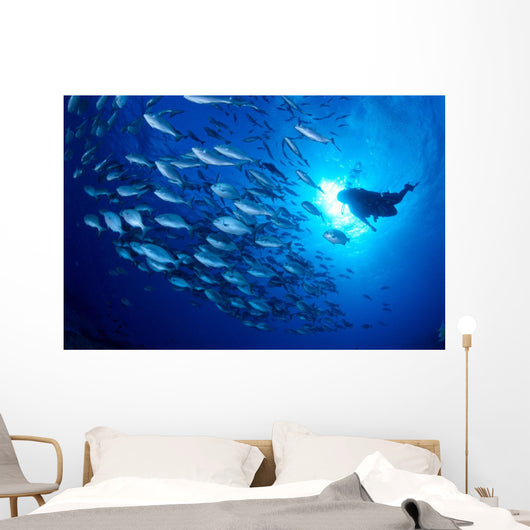 Midway Atoll, brown chub school and diver silhouette, sunburst Wall Mural