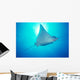 Hawaii, Spotted Eagle Ray sunburst Wall Mural