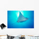 Hawaii, Spotted Eagle Ray sunburst Wall Mural