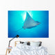 Hawaii, Spotted Eagle Ray sunburst Wall Mural