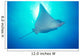 Hawaii, Spotted Eagle Ray sunburst Wall Mural