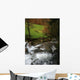 Rio Wall Decal
