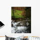 Rio Wall Decal