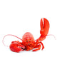 lobster say hello Wall Decal