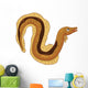 Smiling Eel Underwater Wall Decal