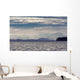 The Coastal Mountain Range Shrouded In A Morning Mist On The Coast Wall Mural