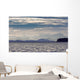 The Coastal Mountain Range Shrouded In A Morning Mist On The Coast Wall Mural