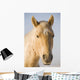 Cream Coloured Horse Head Looking Straight On With Blue Sky Wall Mural