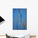 Close Up Of Cracks On A Blue Painted Asphalt Surface Wall Mural