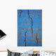 Close Up Of Cracks On A Blue Painted Asphalt Surface Wall Mural