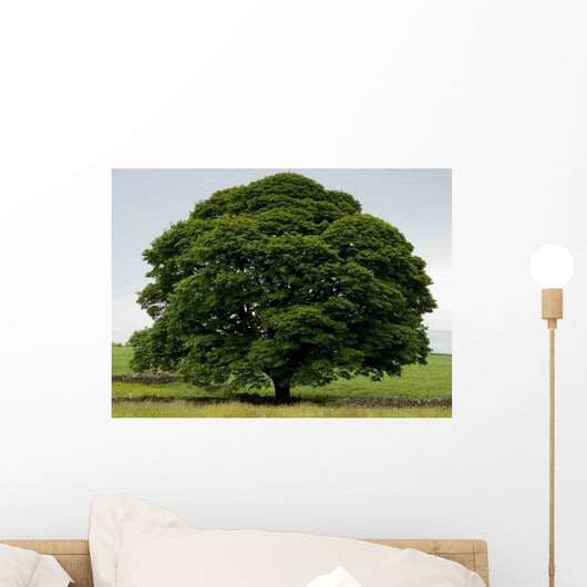 Perfect Tree Wall Decal