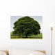 Perfect Tree Wall Decal