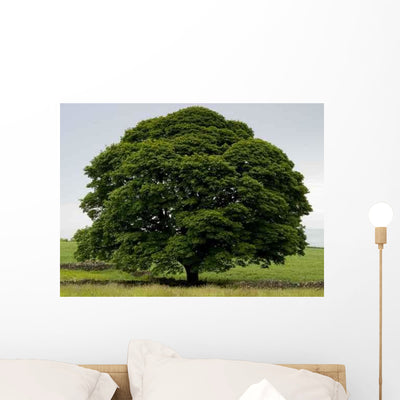 Perfect Tree Wall Decal shown on a wall