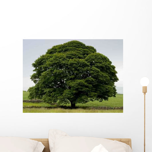 Perfect Tree Wall Decal