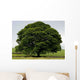 Perfect Tree Wall Decal