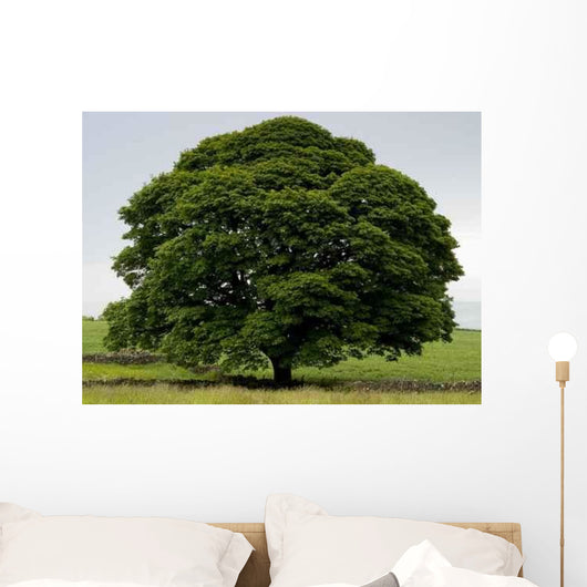 Perfect Tree Wall Decal