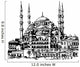 blue mosque in Istanbul Wall Decal