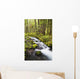Still Creek In Mount Hood National Forest Wall Mural