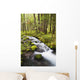 Still Creek In Mount Hood National Forest Wall Mural