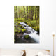 Still Creek In Mount Hood National Forest Wall Mural