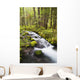 Still Creek In Mount Hood National Forest Wall Mural