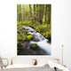 Still Creek In Mount Hood National Forest Wall Mural