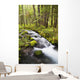 Still Creek In Mount Hood National Forest Wall Mural