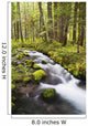 Still Creek In Mount Hood National Forest Wall Mural