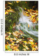 Leaves In Autumn Colours At Crystal Springs Gardens Wall Mural