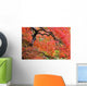 Autumn Colours At The Japanese Gardens Wall Mural