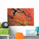 Autumn Colours At The Japanese Gardens Wall Mural
