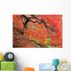 Autumn Colours At The Japanese Gardens Wall Mural
