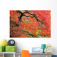 Autumn Colours At The Japanese Gardens Wall Mural