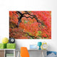 Autumn Colours At The Japanese Gardens Wall Mural