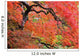 Autumn Colours At The Japanese Gardens Wall Mural