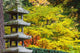 Autumn Colours At The Japanese Garden Wall Mural