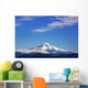 View Of Mount Hood From Larch Mountains Wall Mural