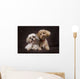 A Shihtzu And A Poodle On A Brown Backdrop Wall Mural