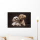 A Shihtzu And A Poodle On A Brown Backdrop Wall Mural
