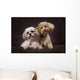 A Shihtzu And A Poodle On A Brown Backdrop Wall Mural