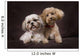A Shihtzu And A Poodle On A Brown Backdrop Wall Mural