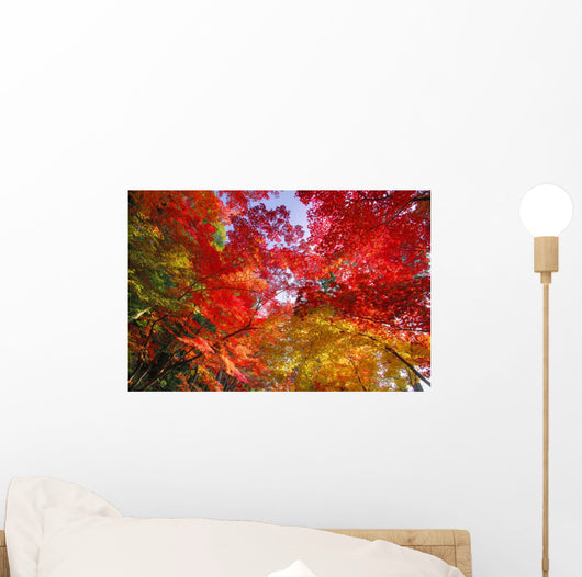 Autumn Leaves