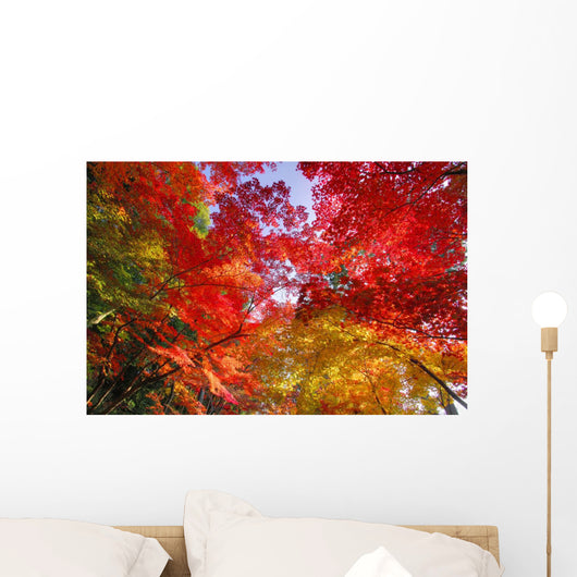 Autumn Leaves