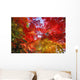 Autumn Leaves
