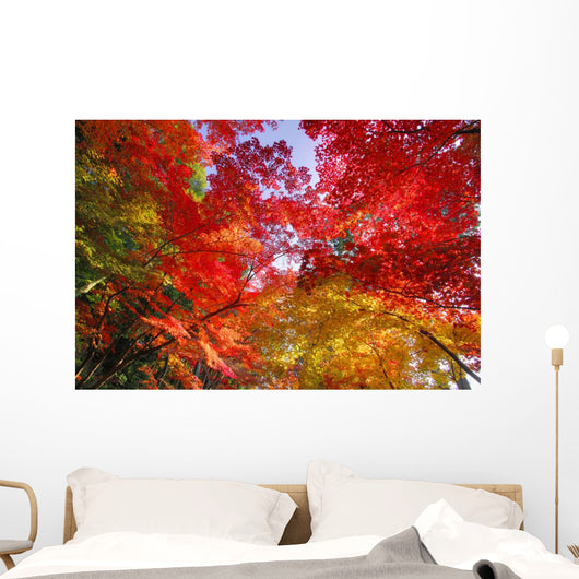 Autumn Leaves